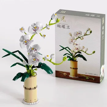 Baltųjų Orchidėjų Puokštė Blokai Namų Gėlių kompozicijų Plytų Puokštė 